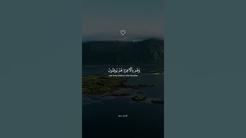 سورة لقمان بصوت القارئ الشيخ اسلام صبحي ارح سمعك .
