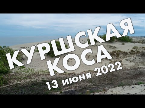 Куршская Коса: высоты Мюллера и Эфа, Королевский бор, Зеленоградск – обзор путешествия 2022