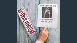 Video thumbnail of "Jerry Jeff Walker - Little Bird"