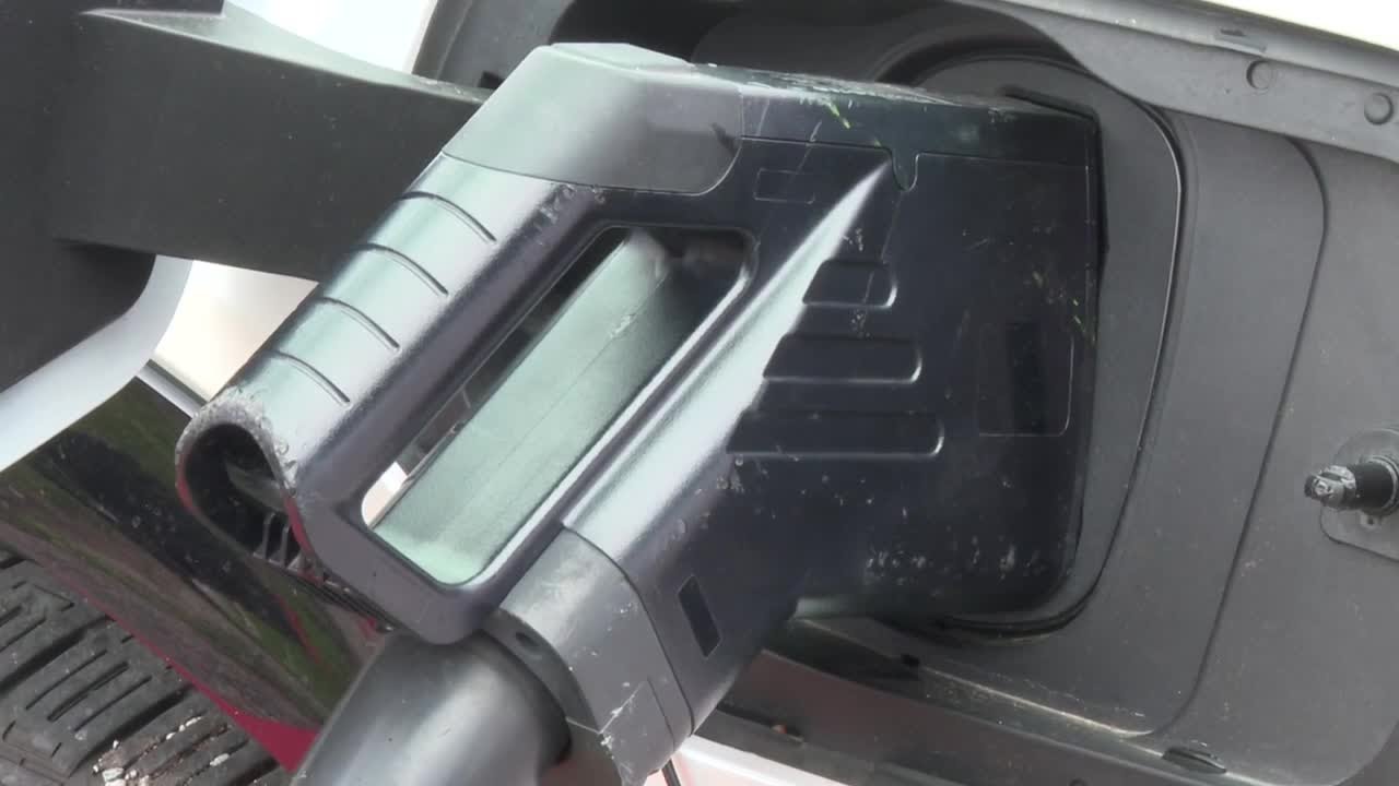 Lansing business owner remains optimistic about electric vehicle future despite industry challenges