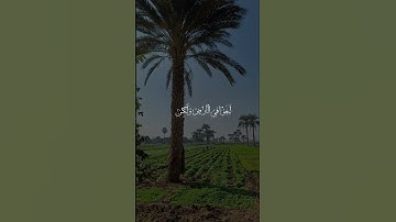 عبدالباسط عبدالصمد #قرآن #subscribe #تلاوة_خاشعة #قران #explore #راحة_نفسية #عبدالباسط_عبدالصمد