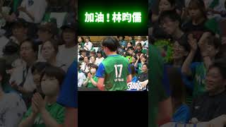 太快了 #林昀儒 #linyunju 東京木下大師 vs 岡山鉚釘 野島 #tleague 2026-2027 2026年8月22日 茅崎綜合體育館 [乒乓球T.League]