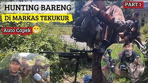 ⭕️PART 1 ‼️HUNBAR PALING GOKIL 🔥 Nemu Sarang Tekukur Pas Lagi Musim Panen !!AUTO Bawa Point Melimpah
