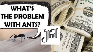 What Ants Teaches Us About Survival and Achieving Success