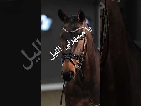 اغنية شيرين عبد الوهاب يا مسهرني الليل شيلات ترحيبية