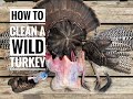 How To Easily Clean a Wild Turkey with John Dudley