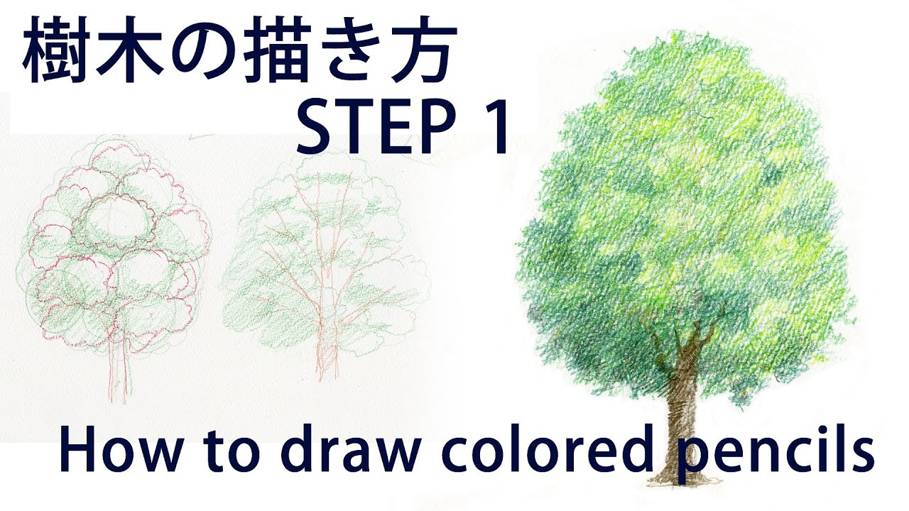 色鉛筆画 実践編 樹木の描き方step 1 How To Coloredpencil Drawing Youtube