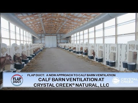 A New Approach to Calf Barn Ventilation 