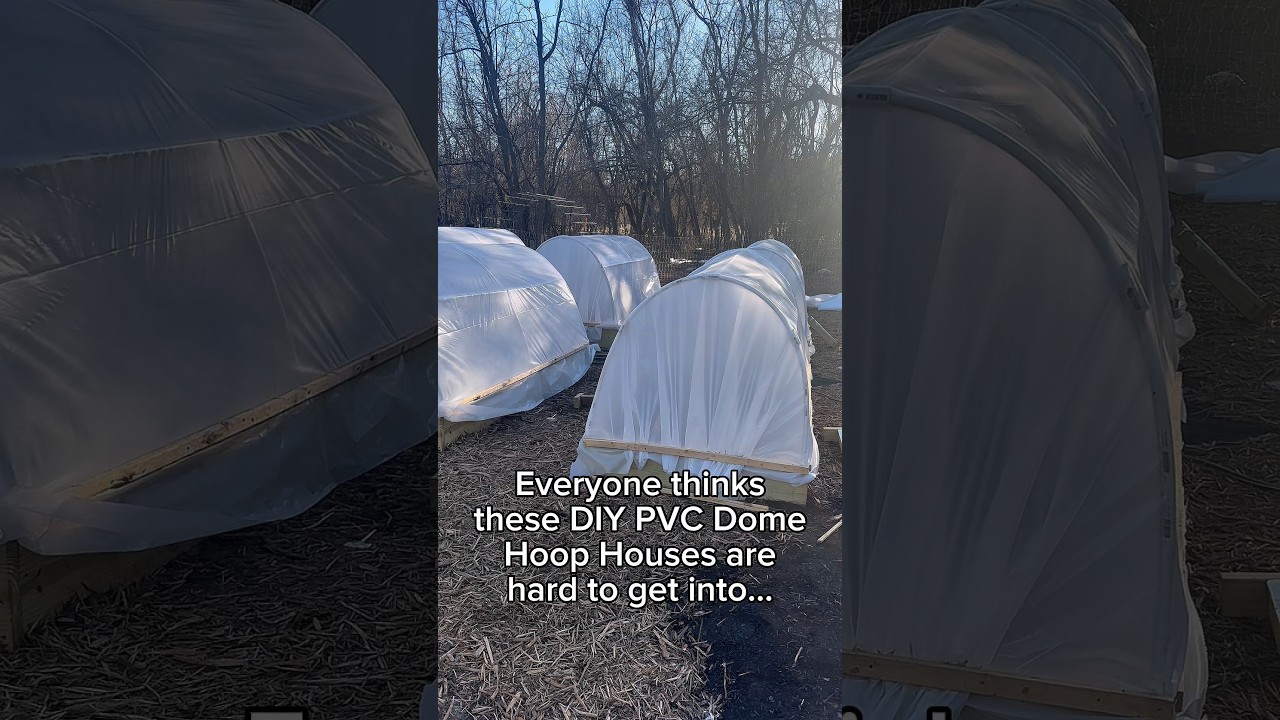 Uploads from From Seed to Spoon Garden Planning App