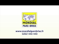 Mondial parebrise runion spcialiste de la rparation et du remplacement