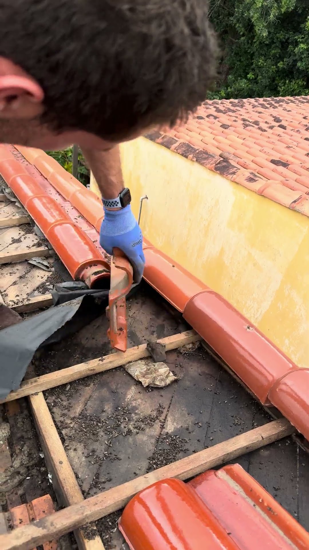 Bats Swarm Out Of Rio Grande do Sul Rooftop || ViralHog