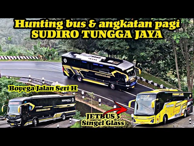 STJ BOYEGA jalan Angkatan pagi || Pesona TISAL GROUP JETBUS 5 Singel Glass class=