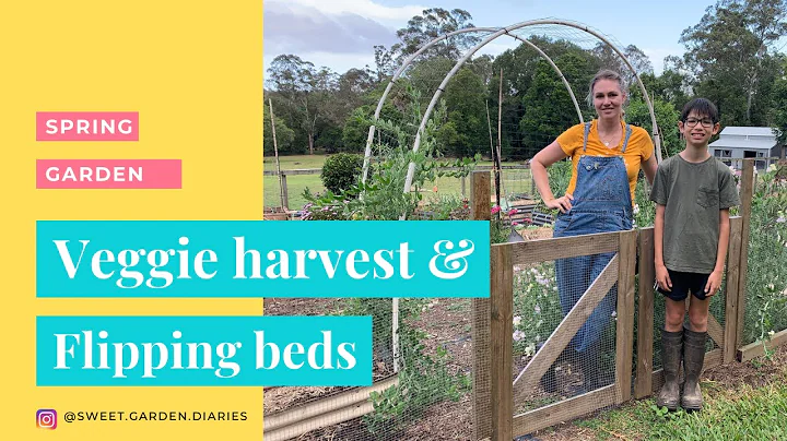 Spring gardens 2021, veggie harvesting and flippin...