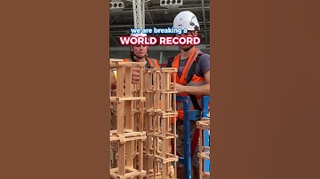 World Record Kapla Tower Build!