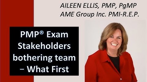 PMP Exam Prep - What would you do first - stakeholders bothering team for project information