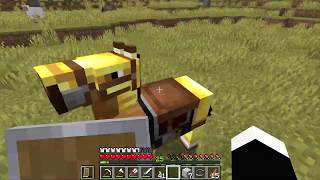 How to get Faster Horse - Minecraft