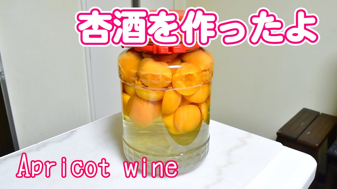 杏の砂糖漬け 氷砂糖で半分に割った杏の実をつけるだけ ｗ 無添加本格レシピ 特選男の料理 Youtube