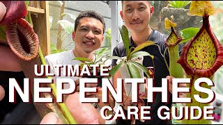 Nepenthes (carnivorous pitcher plants) beginners and advance care with Yudhistira