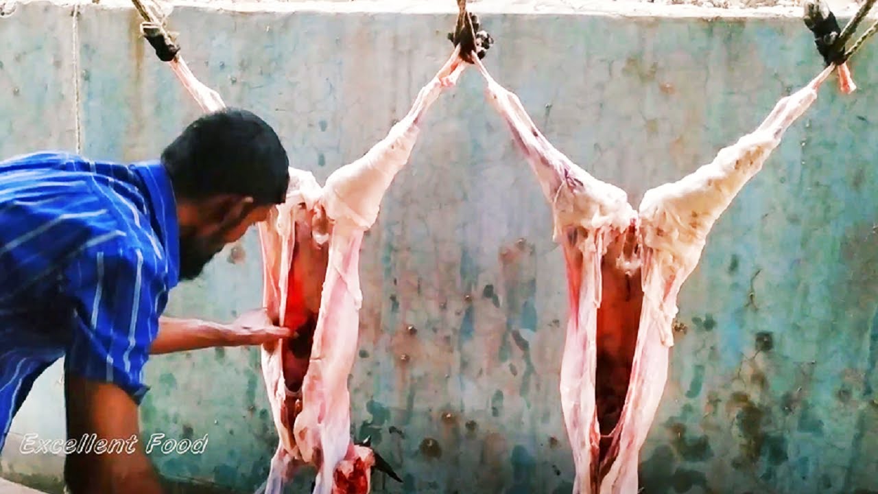Goat Cutting Process & Goat Meat Cutting For Party || Wedding || Picnic