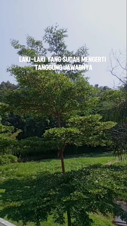 Laki-laki yang sudah mengerti tanggung jawabnya #motivasi#motivasihidup#katabijakkehidupan