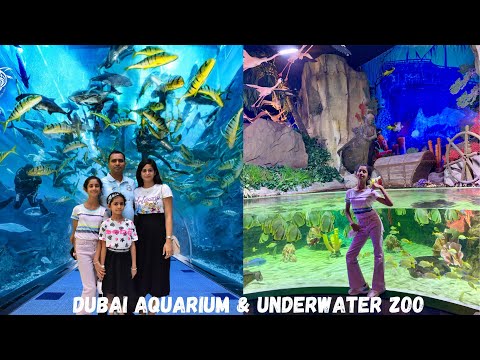 Dubai Aquarium & Underwater Zoo || Part -1|| The Dubai mall