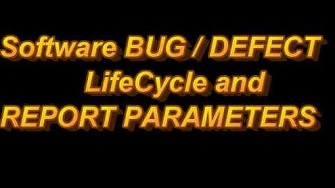 Software BUG-DEFECT  Life Cycle and REPORT PARAMETERS
