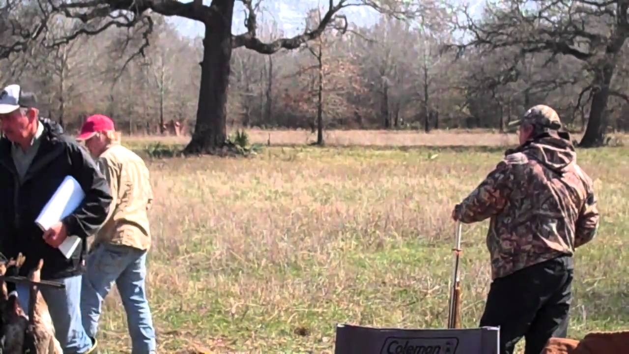 College Station AKC Hunt Test Spring 2011 Master A Land Deuce YouTube college-station-akc-hunt-test-spring-2011-master-a-land-deuce-youtube