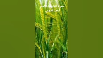 سورة العاديات للإمام أحمد العجمي