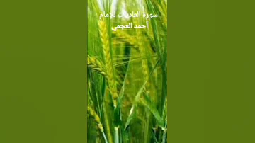 سورة العاديات للإمام أحمد العجمي 