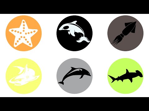 Ocean Animals : Shark Fish, Orca Whale, Hammerhead Shark, Star Fish, Dolphin, Squid