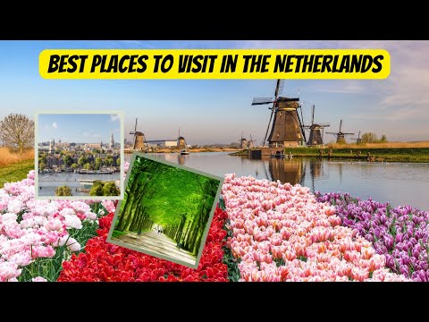 Video: Hvor er turistkontoret i Amsterdam?