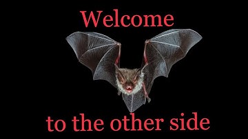 Modular Techno Impro with Desmodus Versio 🦇🔮