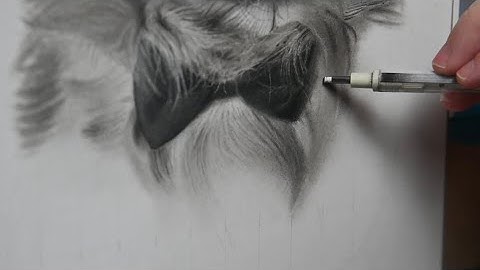 HOW TO draw HYPER REALISTIC fur. Dog portrait in charcoal. 4K Time-lapse video.