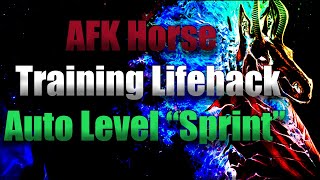 Afk Horse Training Tips  Level Up Sprint In Under 3 Minutes