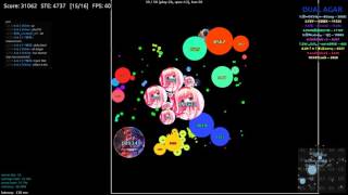 Dual Agar//Best Double Split
