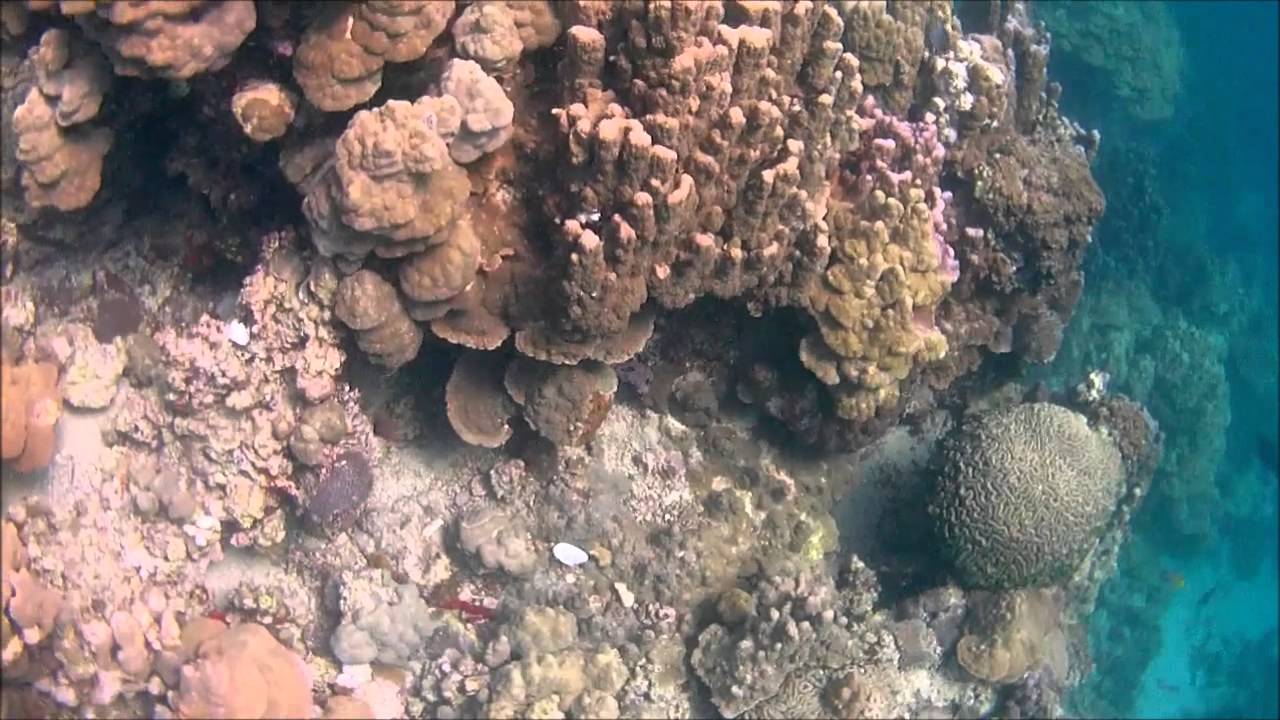 Lake Goubet Dive Site in Djibouti YouTube