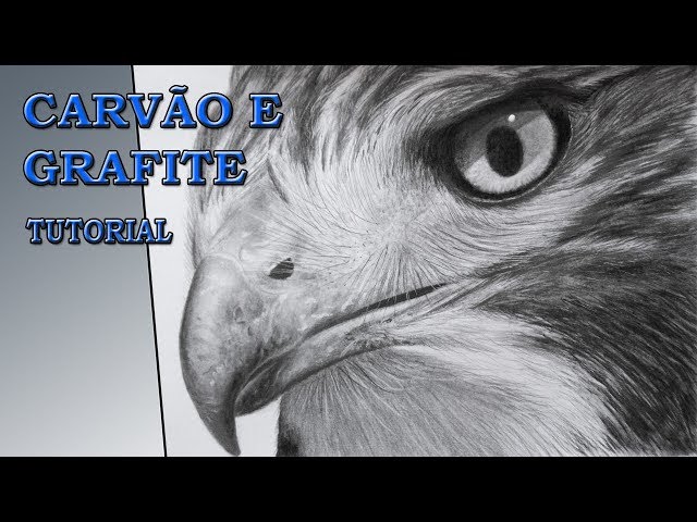 Como desenhar um Gorila com carvão e grafite 