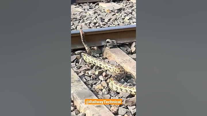 Train k Samne Rail track par AJAGAR Snake @RailwayTechnical