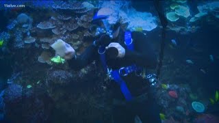 Day in the life of an Aquarist