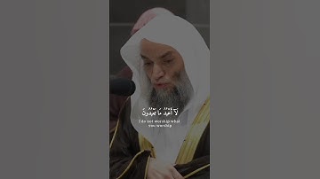 فضيلة الشيخ أ.د. فيصل غزاوي || لكم دينكم ولي دين || سورة الكافرون