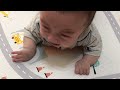 【R070815-02寝かしつけライブ】#shortvideo #short #shorts #赤ちゃん #baby #बच्चा #아기 #bebê #малыш #ที่รัก #хүүхэд