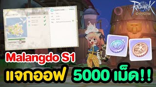 เควสสำรวจ Malangdo S1 แจกออฟแมว 5000 อันฟรี! | Ragnarok Origin