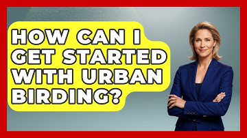 How Can I Get Started with Urban Birding? | Bird Watching Diaries