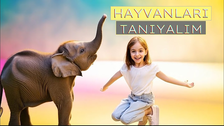 Bu Kim? | Hayvanlar Şarkısı 🐵🐶🦁 | Eğlenceli ve Öğretici Çocuk Şarkısı