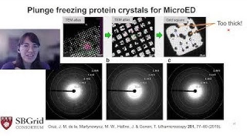 Sample Prep: MicroED