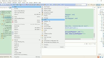 14 尚硅谷 MyBatis 全局配置文件 mappers sql映射注册