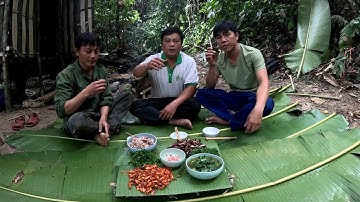 #731. Sinh tồn trong rừng, tìm kiếm thức ăn hoang dã, phiêu lưu trong rừng