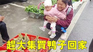 老羅帶妻女趕大集，買兩隻鴨子回家養，小悅悅看什麼都新奇太熱鬧了！ 【侗家老羅】