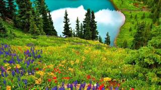 Al Quran - Surats 112 Ikhlas 113 Falaq 114 Naas