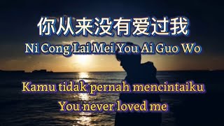 Download Lagu Ni Cong Lai Mei You Ai Guo Wo | 你从来没有爱过我 | Kamu tidak pernah mencintaiku MP3